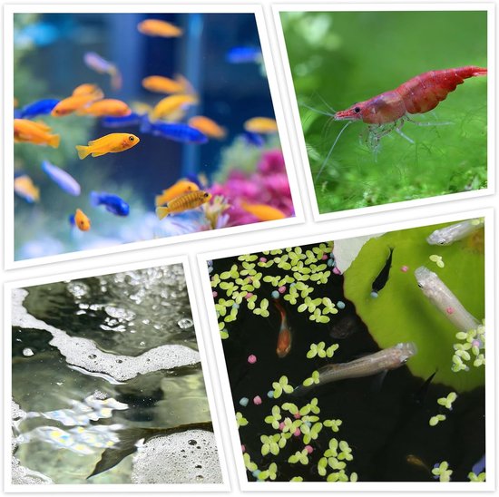 10 cm, rond schepnet, aquariumnet, klein visnet, garnalennet met 31,5 cm tot 109 cm lange uittrekbare roestvrijstalen handgreep voor aquaria, kleine vijvers, garnalen (blauw rond) — afbeelding 5