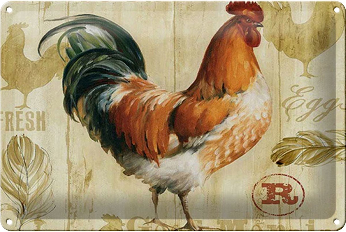 Blechschild Spruch 30x20cm Huhn Hühner Eggs frische Eier