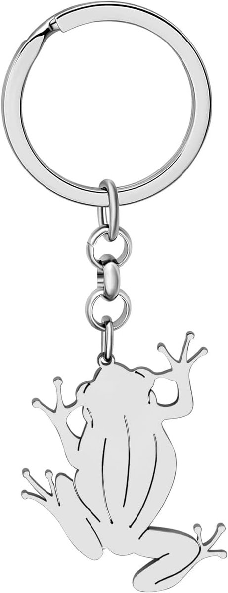 Kikker Sleutelhanger Portemonnee Auto Accessoires Rvs Sleutelhanger Voor Vrouwen Meisjes Zomer Charms Geschenken Decoraties