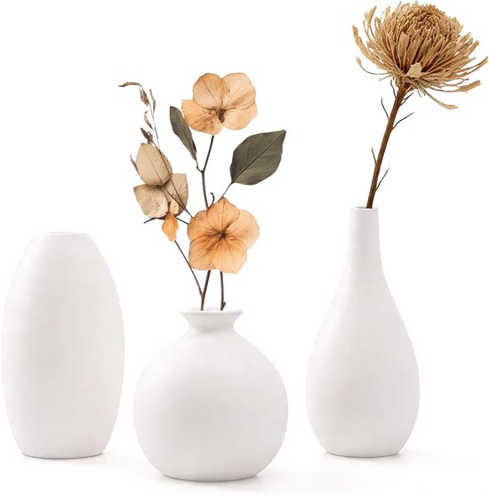SnelShoppen - Set van 3 Mini Keramische Vazen - Witte Handgemaakte Bloemenvazen - Doe-Het-Zelf Keramiek Decoratie voor Woonkamer en Plank - Moderne In