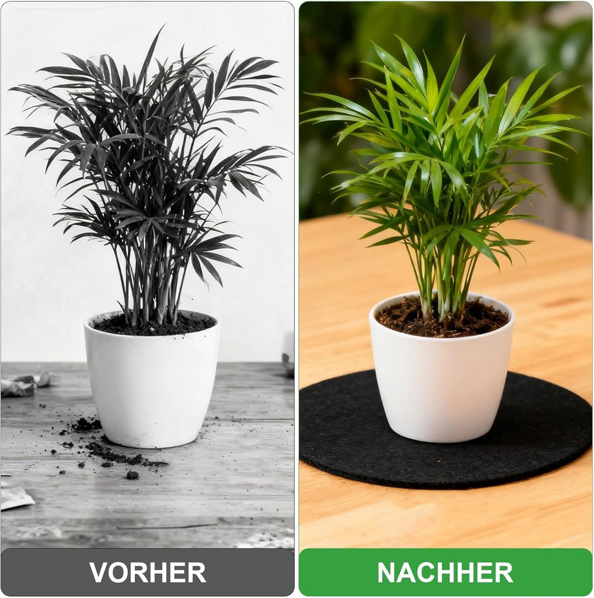 SnelShoppen - Set van 6 Grote Vilt Coasters Rond Herbruikbare Vilt Pads Tafelbeschermer 20cm Waterabsorberend voor Glazen, Potten, Vazen, Borden, Keuk