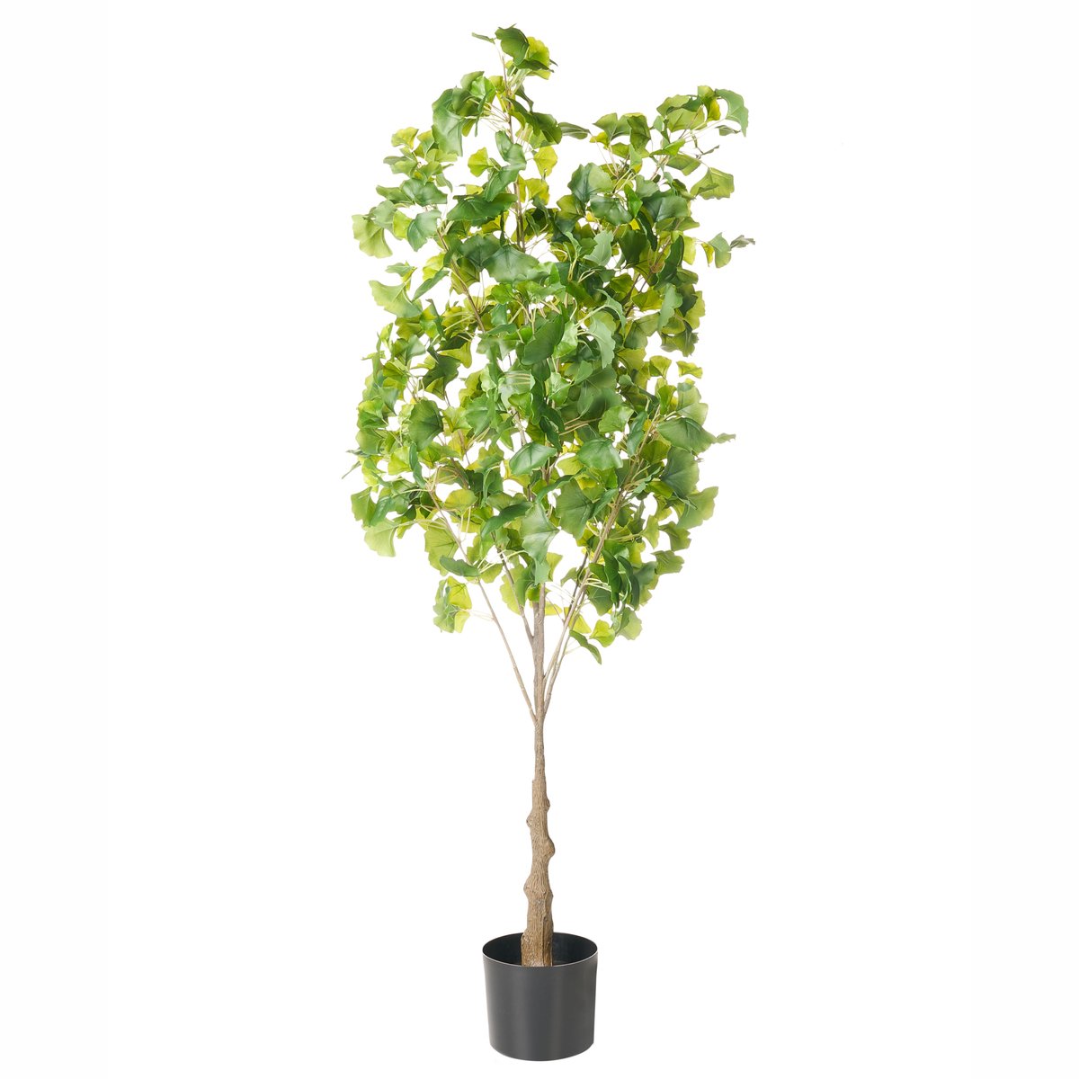 GINKGO TREE - Kunstplant - Groen - 150 cm - Kunststof