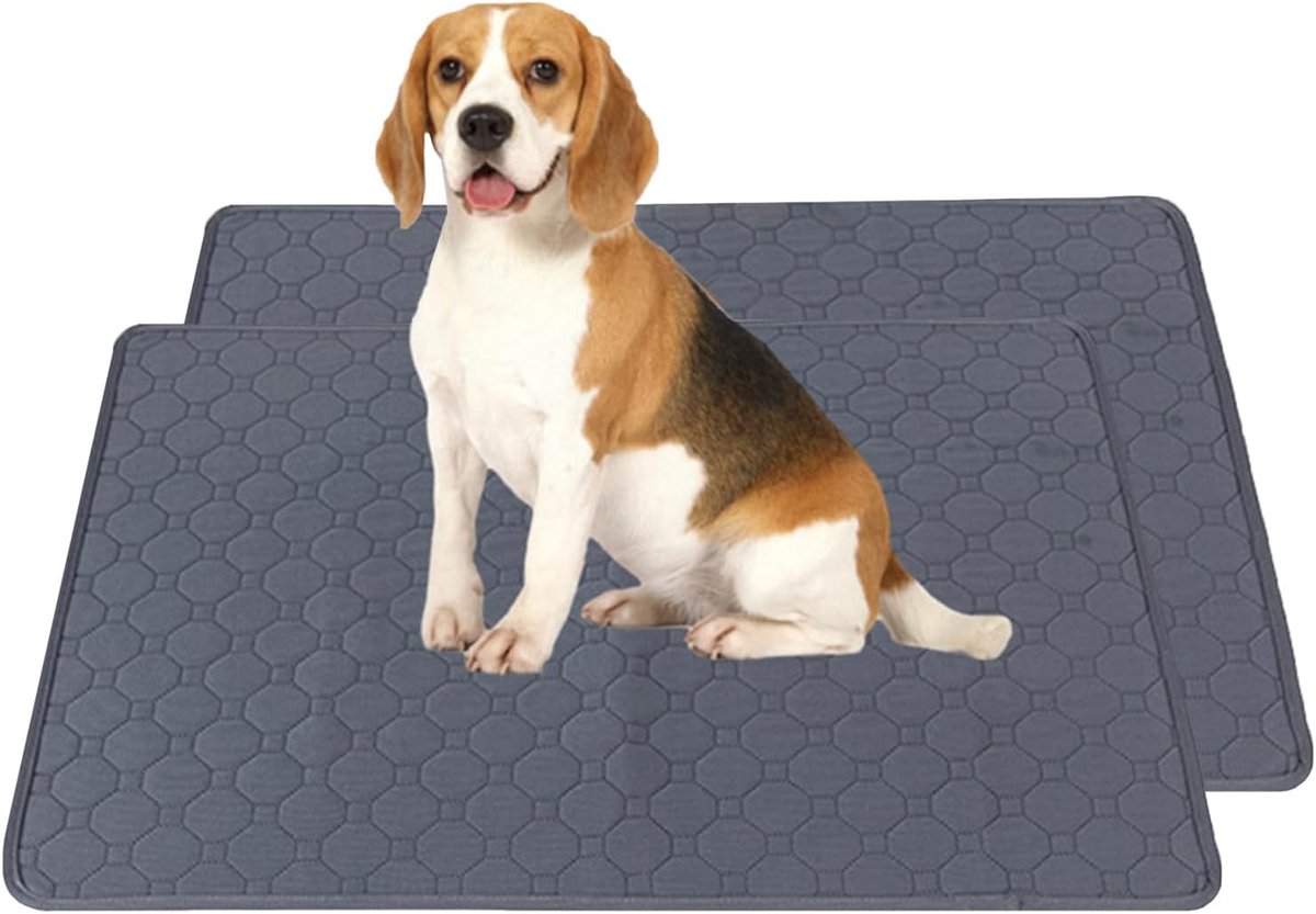 SnelShoppen - 2 Wasbare Hondenmatten, Super Absorberende Puppy Mat, Herbruikbare Trainingsmat, Antislip Mat voor Kleine Dieren, Waterdicht en Ademend