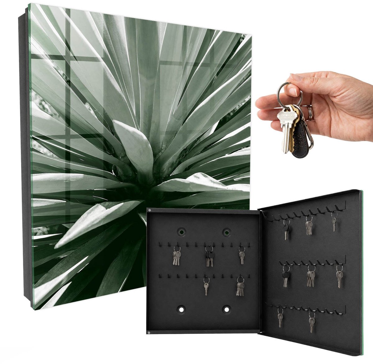 WallMuralia - Sleutelkast - 30x30x5 cm - met 50 haken - Agave Leuk Sleutelkastje - Zwart-Wit Sleutelbox - Rechtsopenend - Zwart interieur