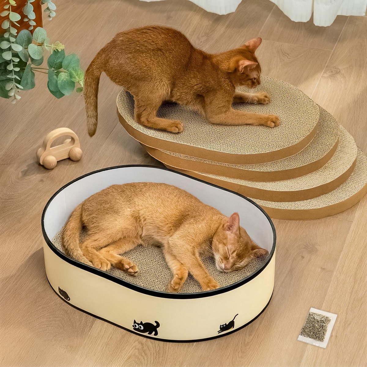 Krabplank voor Katten met Box en 4 Omkeerbare en Verwisselbare