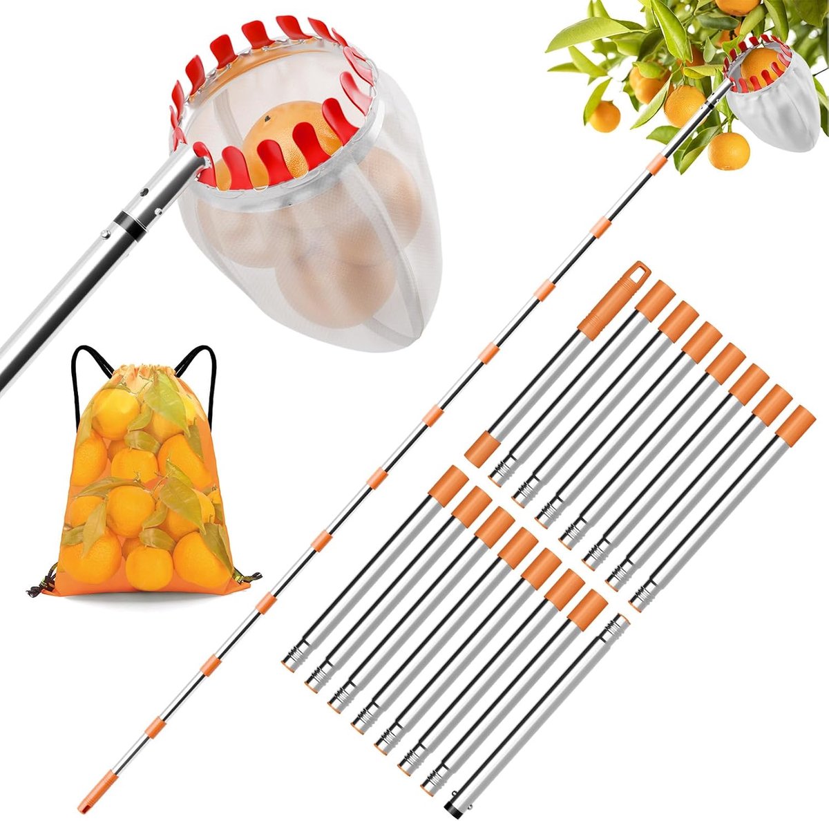 Fruitplukker met 6 m telescopische steel, appelplukker met katoenen zak, diameter 16 cm, roestvrijstalen pruimenplukker, fruitplukker