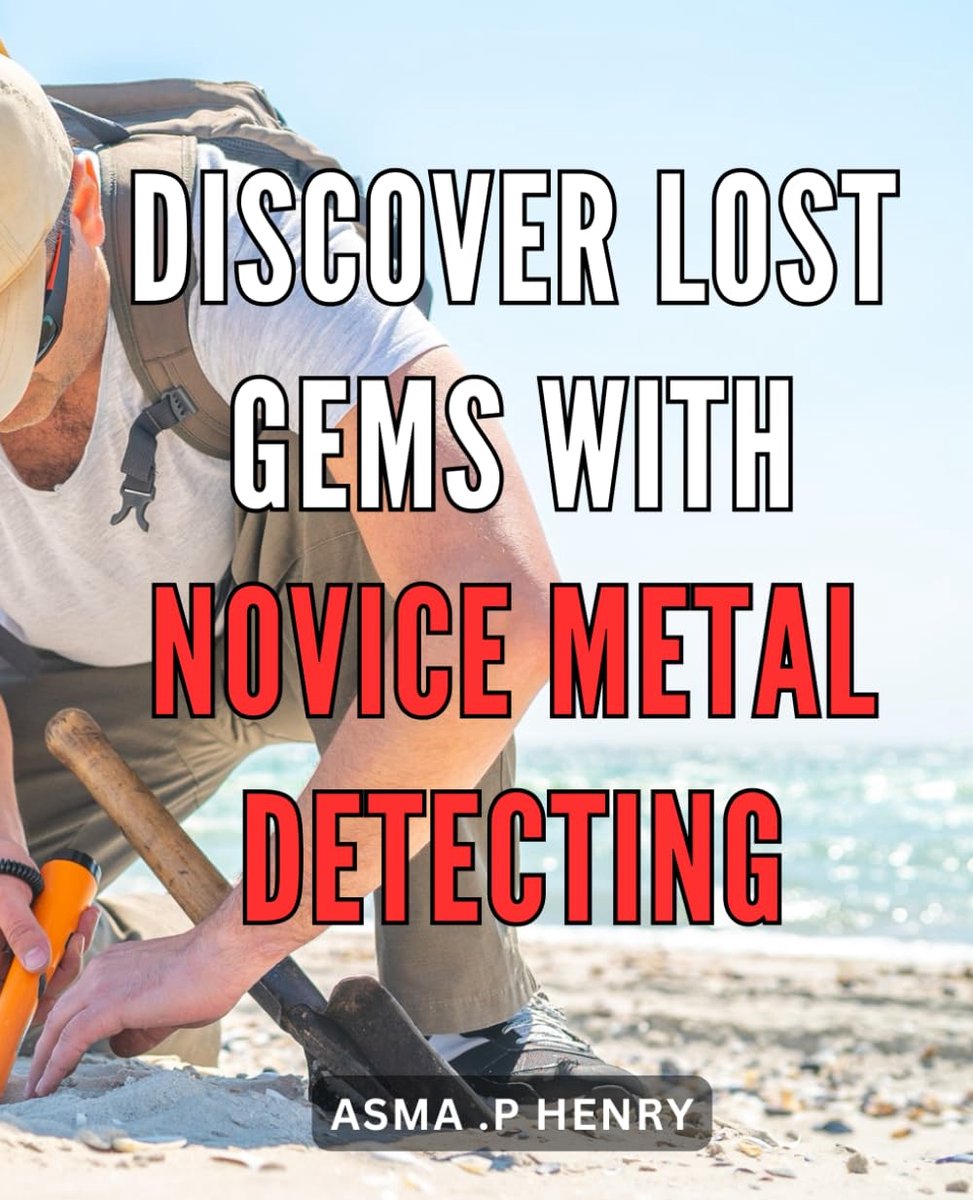 Lost Gems with Novice Metal Detecting: Unearth Hidden Treasures: Unleash Your Metal Detecting Skills to Find Forgotten Riches