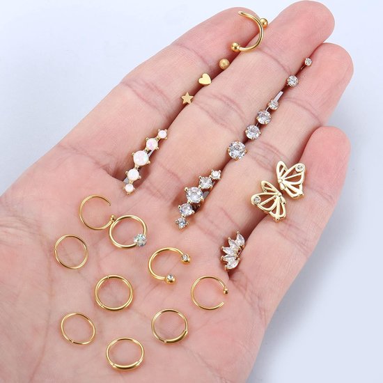 Oorbellen voor Vrouwen Hypoallergeen Helix Piercing Sieraden Kraakbeen Chirurgisch Staal Oorbellen Set Tragus Conch Neus Piercing Lip Neus Ring 16G — afbeelding 5