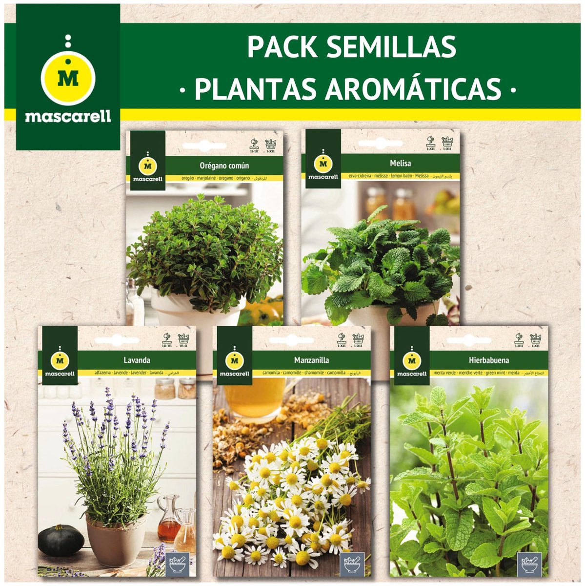 Omgoods - Aromatische Planten Zaadpakket - Bevat Munt, Kamille, Lavendel, Citroenmelisse en Oregano