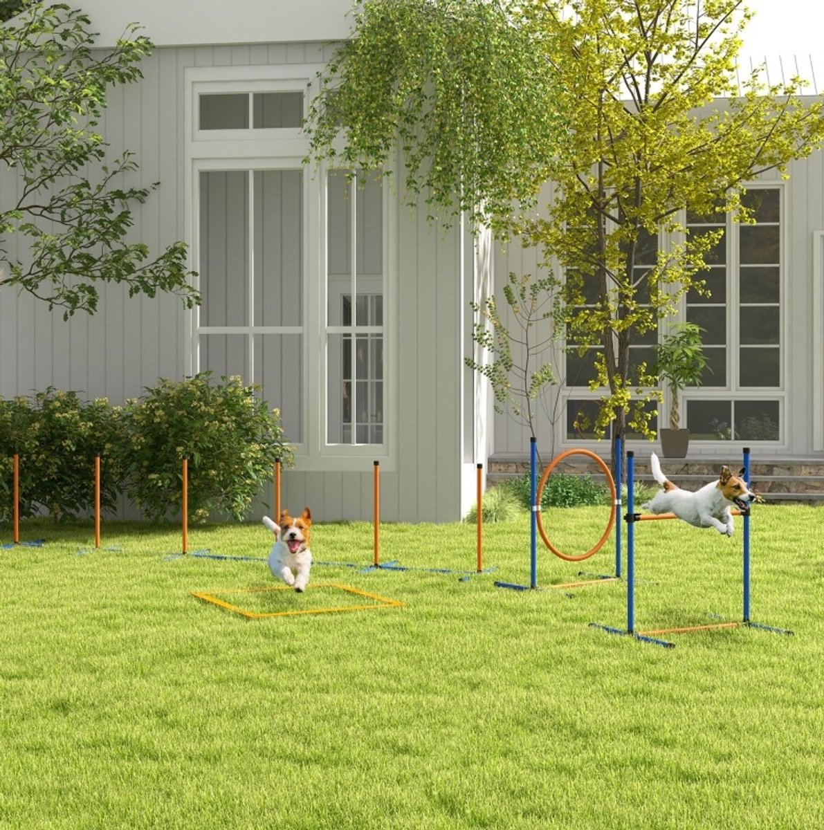 REDOM - Honden agility-set - Slalom, springring en horde - Verstelbare trainingstoestellen - Kunststof - Buitentraining - Oranje - 352 x 66 x 69 cm