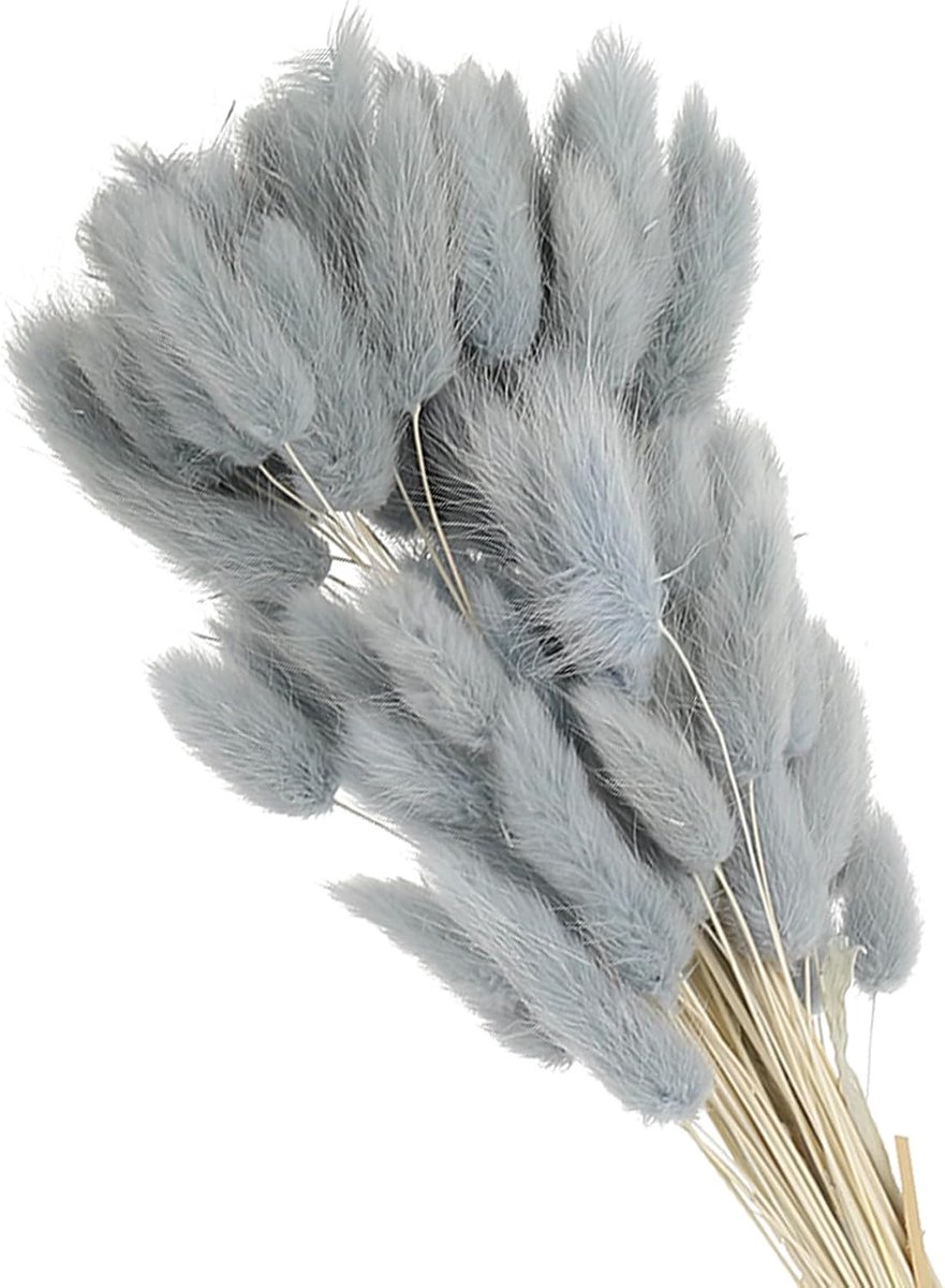 Gedroogde hazenstaart, 15,7 inch, 70 stuks, natuurlijke zachte kunstmatige gedroogde konijnenstaart, voor woondecoratie, bohovaas, bruiloft, grijsblauw