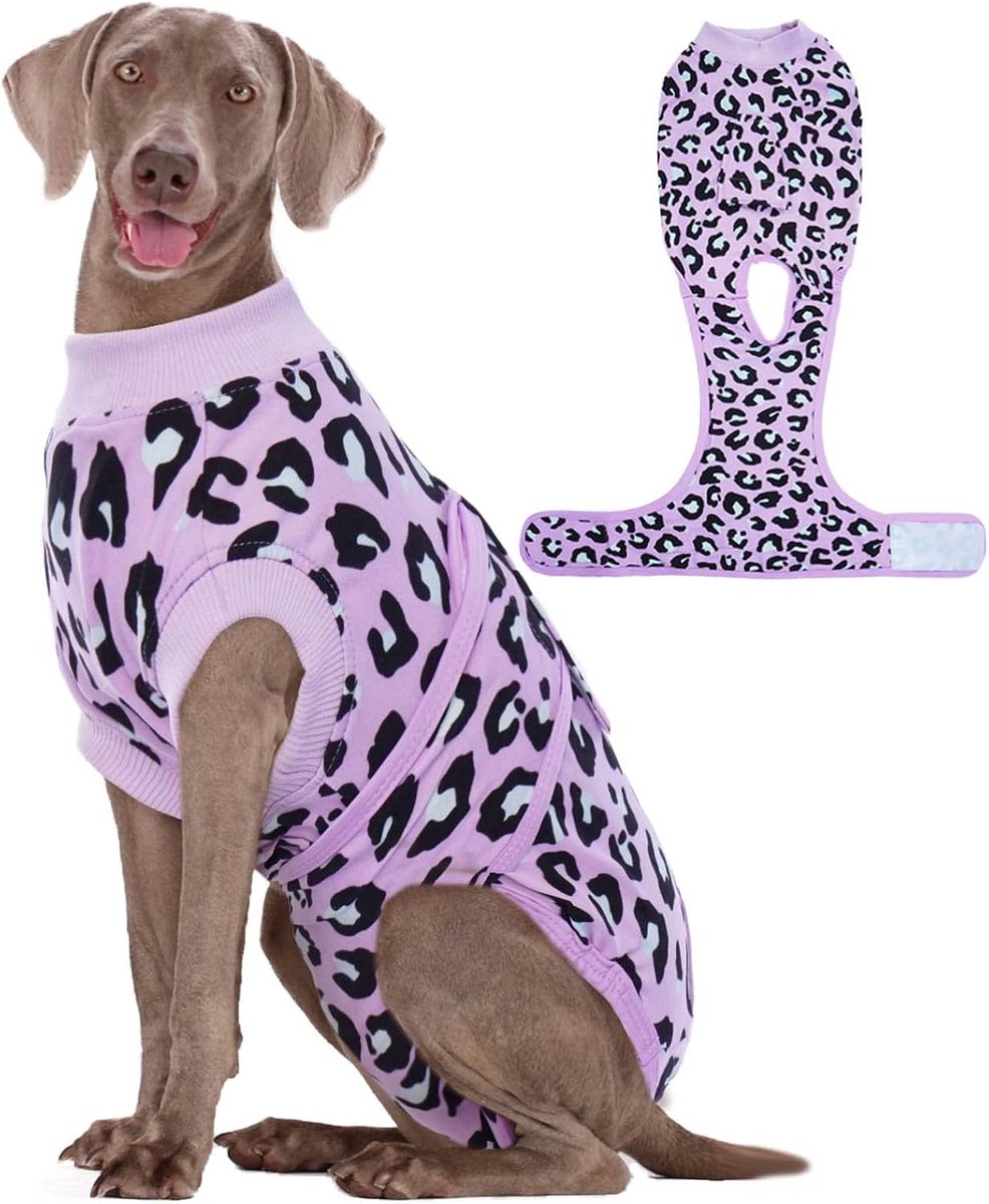 Herstelpak voor honden, herstelpakken voor vrouwelijke kloof en mannelijke online, hondenonesie voor na operatie, postoperatieve zorg, puppypost bodyvest voorkomt likken, paars, XL