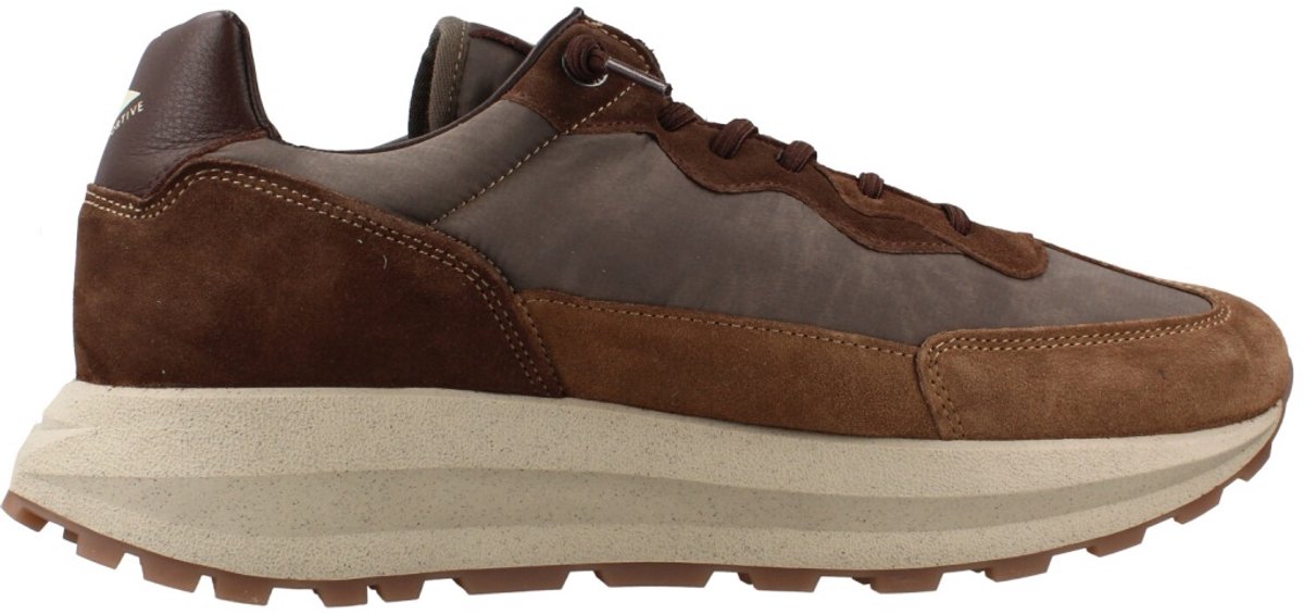 CETTI C1375 INV27 Bruin 43 EU