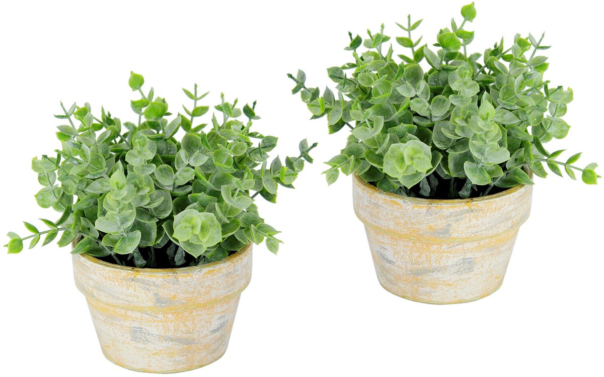 Omgoods - Kunstplant Eucalyptus in Pot voor Decoratie
