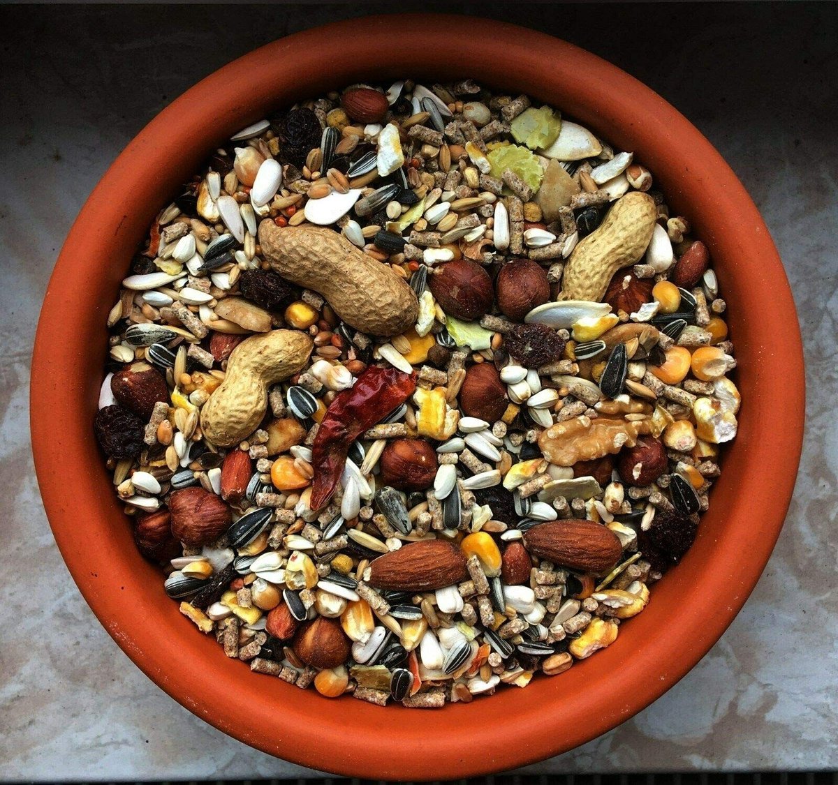 Omgoods- Eekhoornvoer 5 kg - Premium Kwaliteit - Eekhoornmix - Noten/Vruchten/Zaden - Vezelrijk - Energie Rijk - Voeder