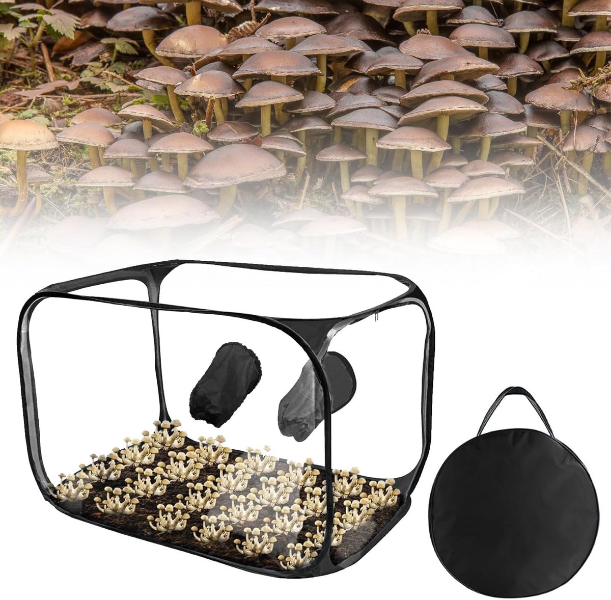 Air Box, Mushroom Grow Portable Foldable Pvc Grow Set Mushroom Growth