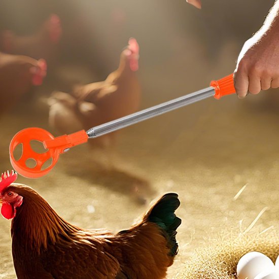 Eier Verzamelaar - Notenraper Fruitplukker - Tuinieren Efficiëntie - Telescopisch Verstelbaar - Tot 195 cm - Oranje — afbeelding 4