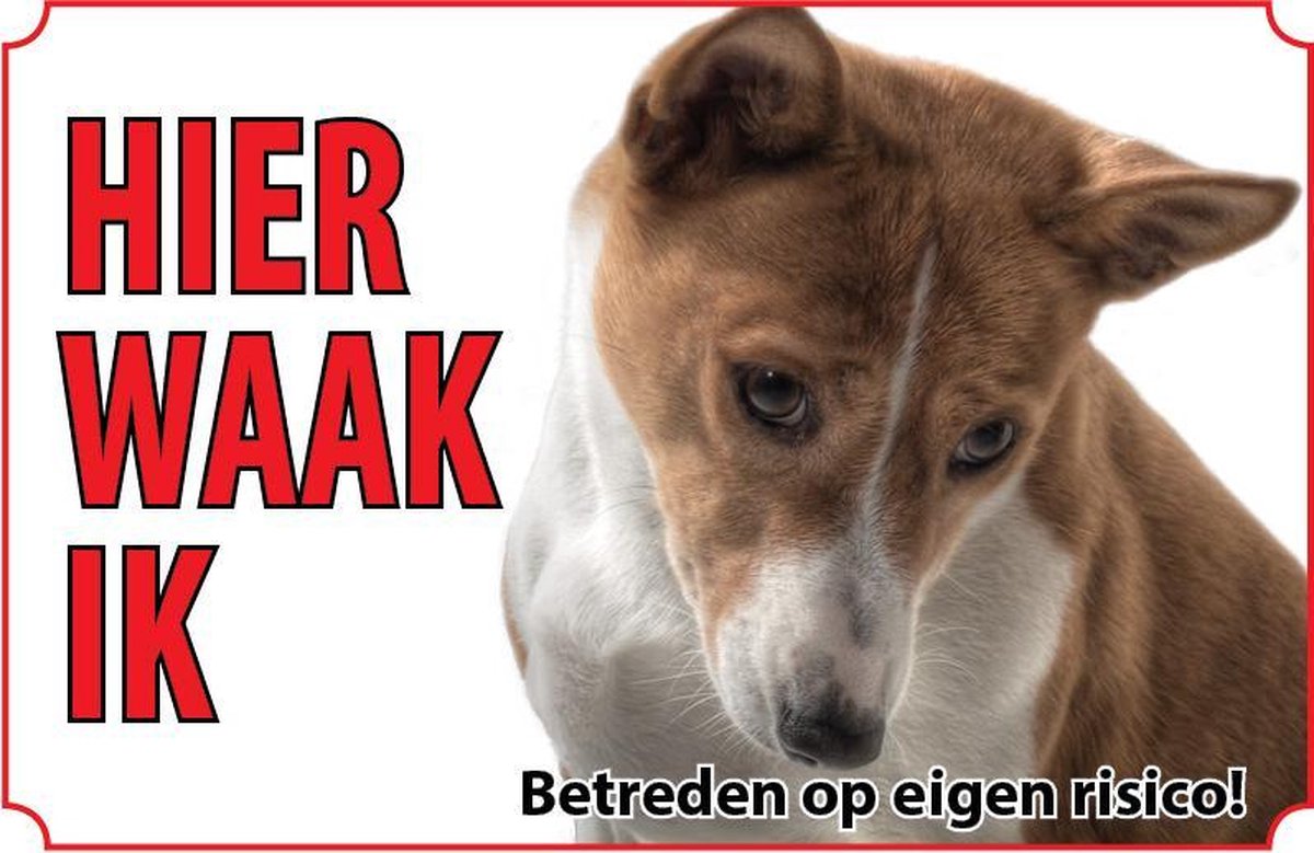 Bord - Hond-Basenji