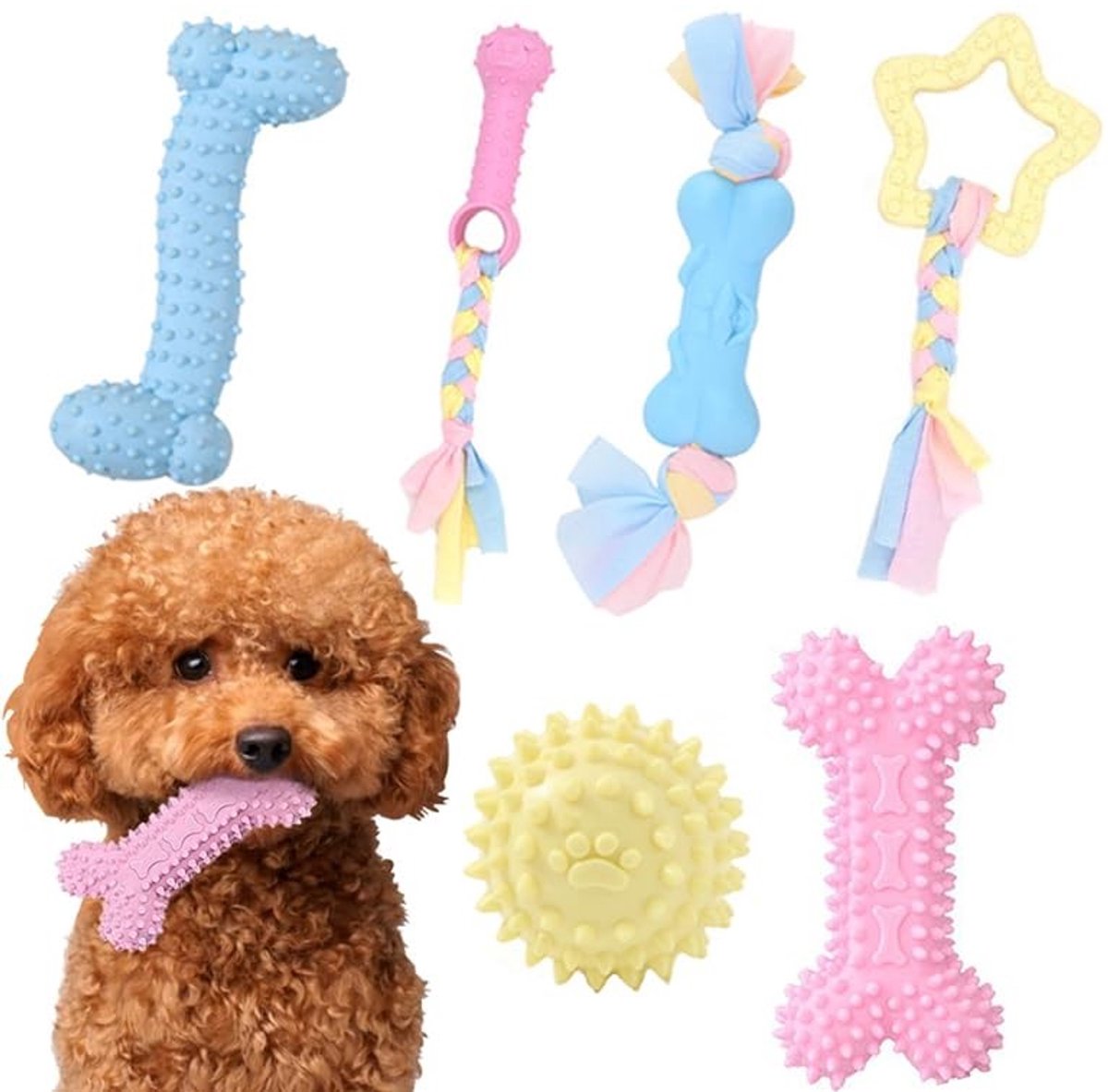 SolidKeus - Set van 6 Kauwspeeltjes voor Honden met Ballen en Katoenen Touwen