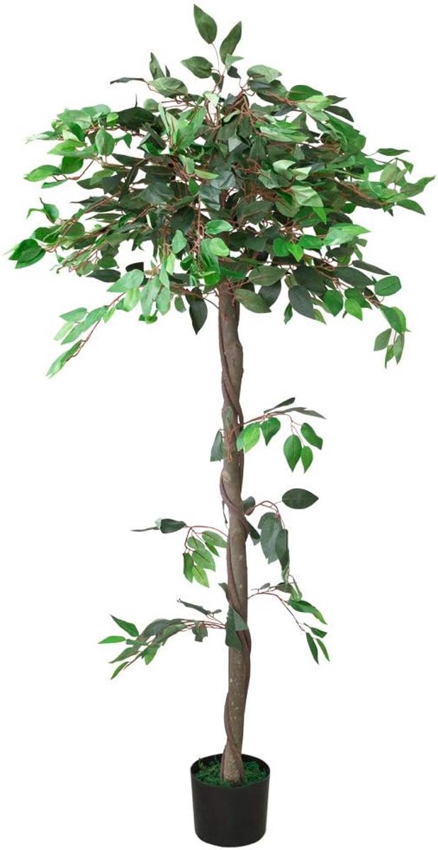 Ficus Benjamin berkenvijg kunstplant kunstboom kunstmatige plant met echt hout 160cm