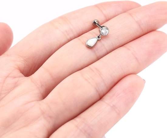 Hengkaixuan 16G Tragus Conch Helix Medusa Lip Chain Kraakbeen Piercing Sieraden Lip Ring Labret Tragus Sieraden Intern Schroefdraad Kraakbeen Helix Oorbel Titanium Platte Terug Labret Stud — afbeelding 5