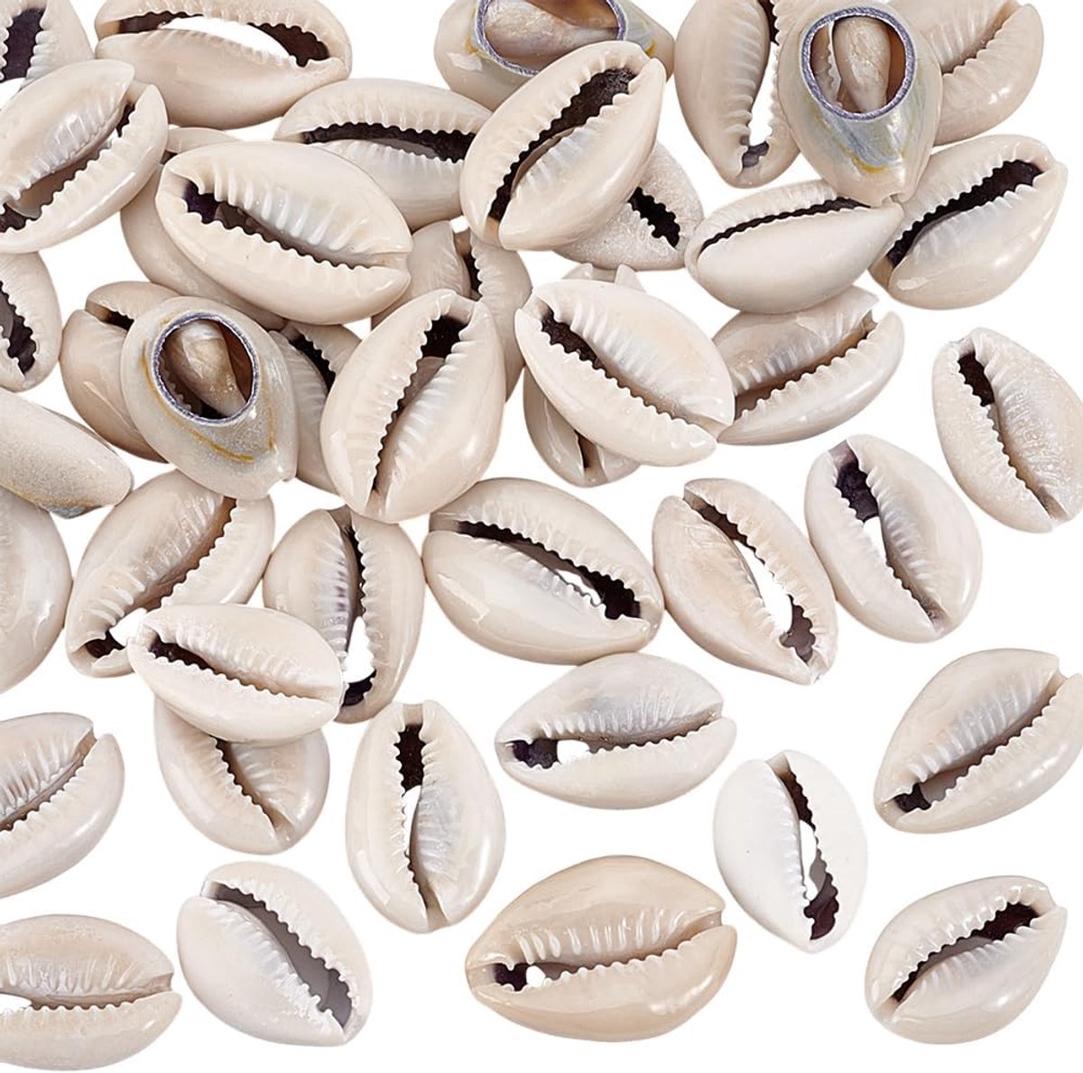 PandaHall 43 stuks natuurlijke spiraal cowrie schelp kralen, spiraal schelp kralen natuurlijke zeeschelpen voor ketting hanger knutselen hars sieraden maken verjaardag Pasen woondecoratie
