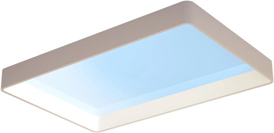Philips Skylight Daglichtlamp Groot