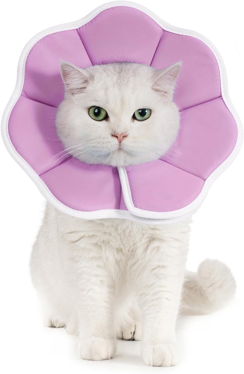 Zachte kat herstelkegelkraag, verstelbare lichtgewicht kitten e-halsband voor kleine honden, comfortabele nek donut stoppen met likken krabben na operatie - paars (L)