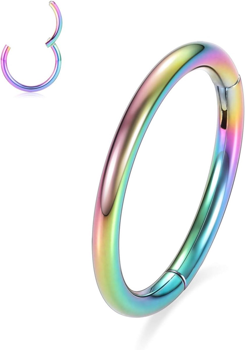 G23 Titanium Hinged Nose Rings Hoop 20 G 18 G 16 G 14 G 12 G 10 G Naadloze piercingringen voor neusschotten, kraakbeen, helix, tragus, conch, rook, daith, diameter 6 mm tot 14 mm