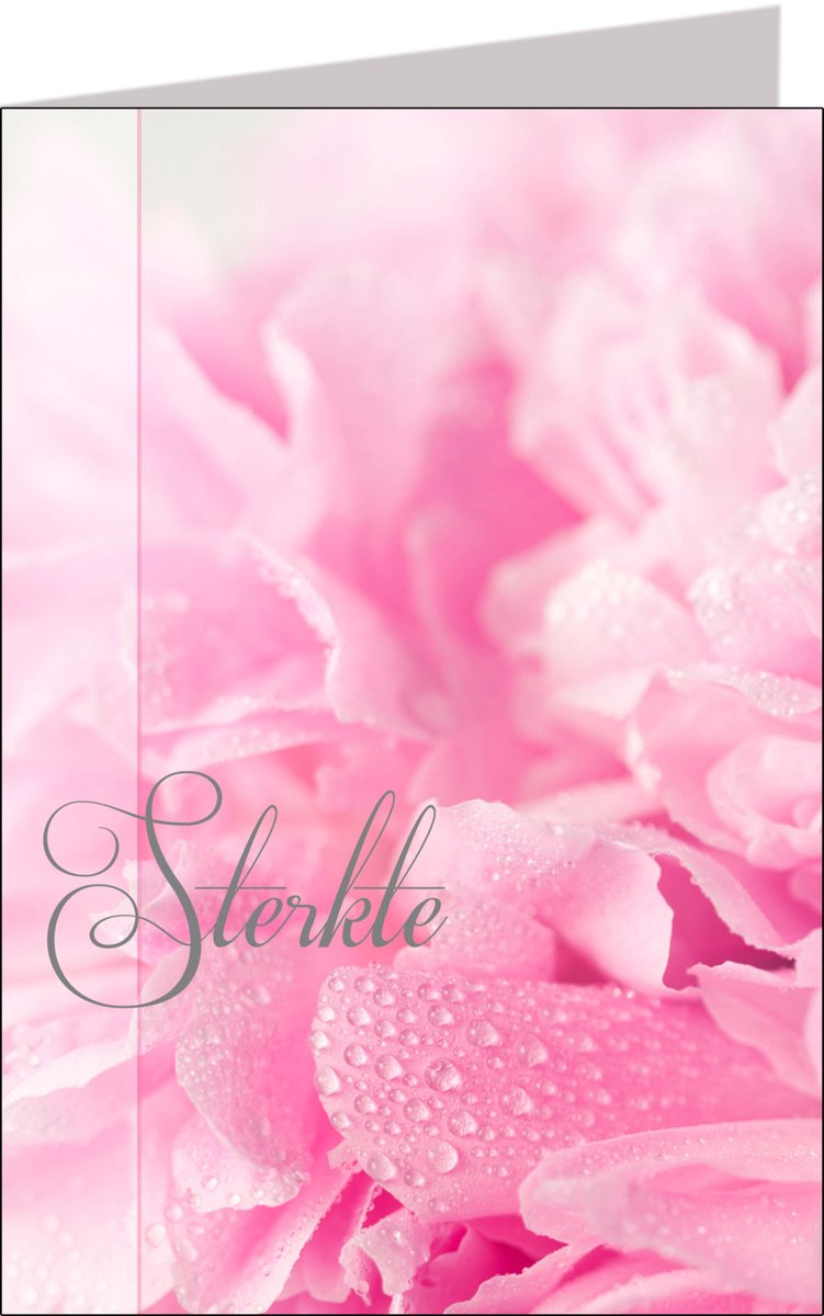 Butterflies | 11x17 | 6 stuks | Vak 101