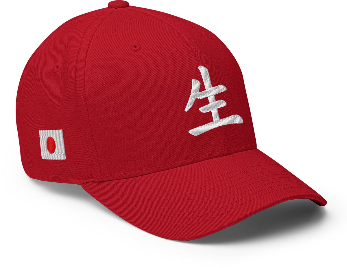 HTT Japanese Life Symbol Cap | Flexfit Streetwear