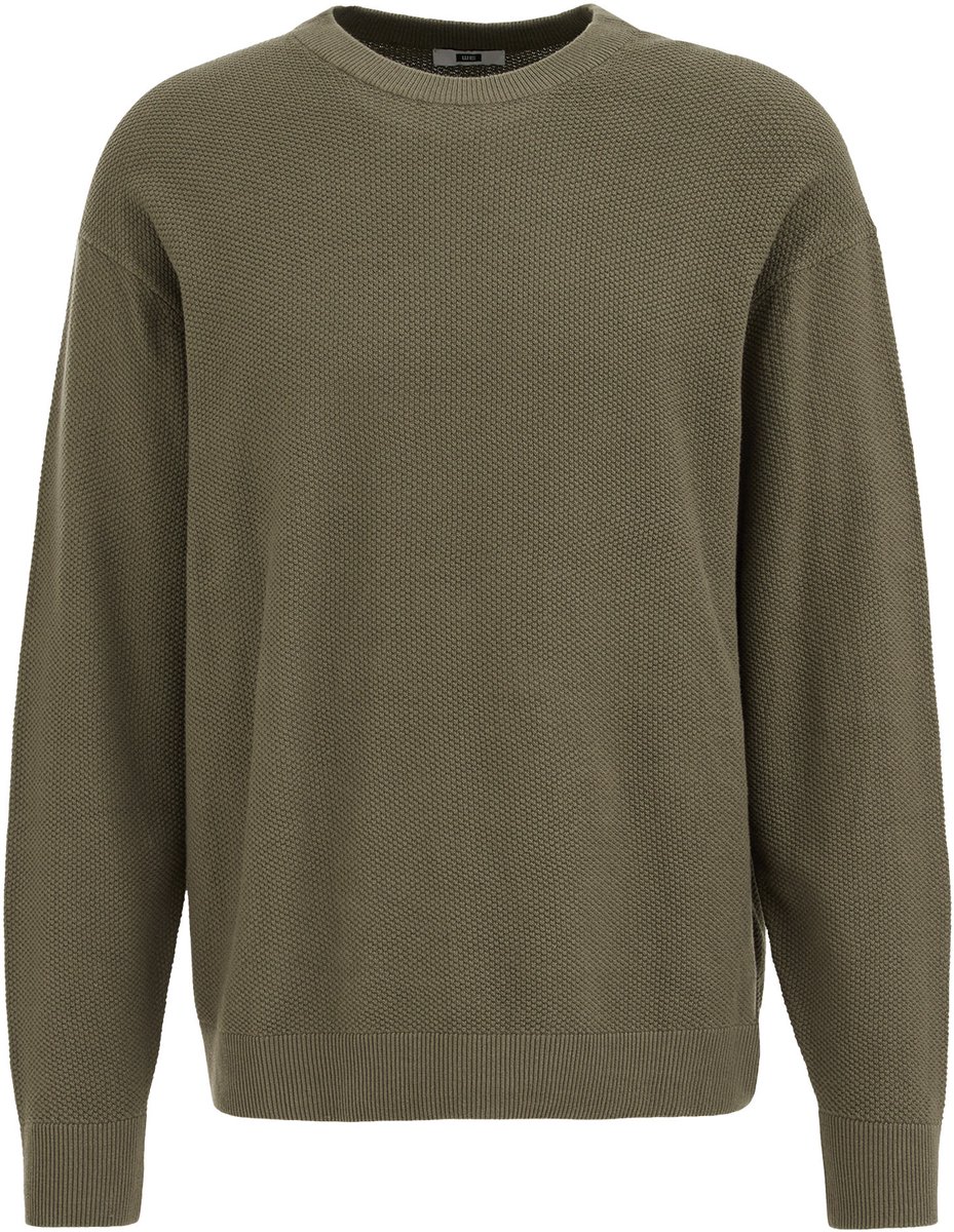 WE Fashion Heren regular fit gebreide trui met structuur