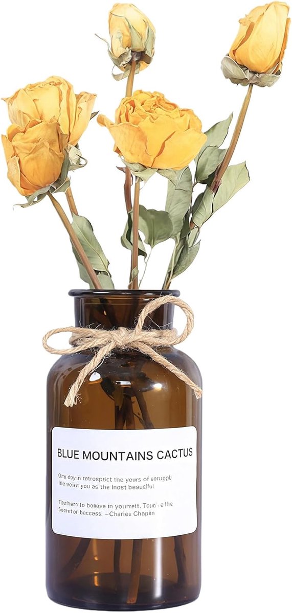 SnelShoppen - 500ml Amber Glazen Vaas Bud Vazen Vintage Bloemenfles Met Touw Ontwerp Voor Bloemstukken Thuis Kantoor Bruiloft Feest Decor