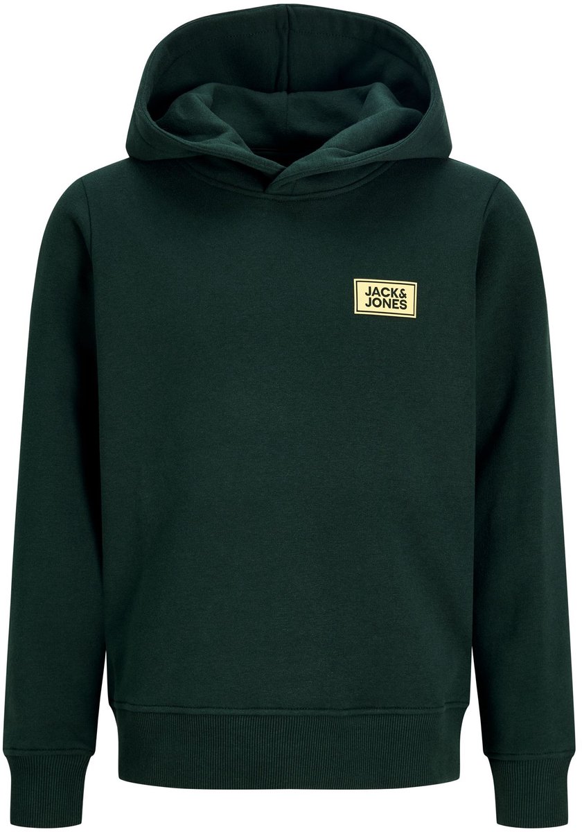 Jack & Jones Junior Hoodie Logo Hoodie Boys
