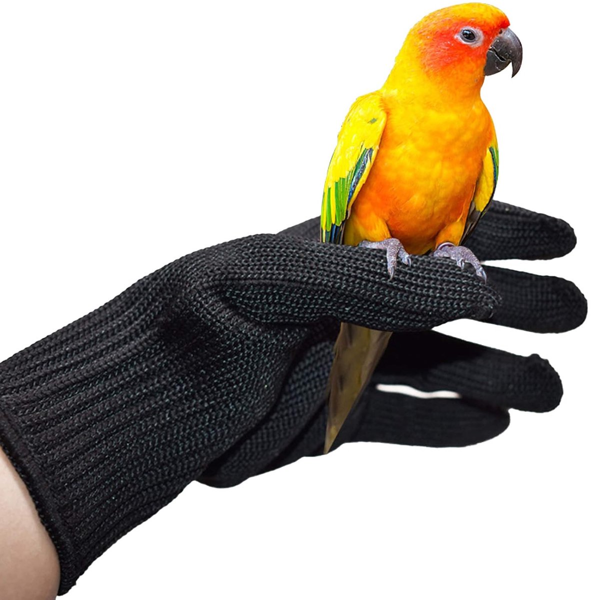 SnelShoppen - Parrots anti-bijtgaren, vogeltraining, anti-bijt handschoenen, kleine dieren, handlingshandschoenen met beschermend staalgaas (1 paar)