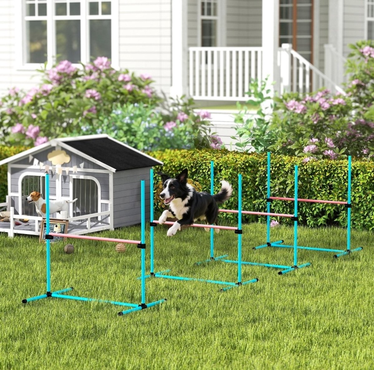REDOM - Agility-Set voor honden - 4-delige horden set - Hoogteverstelbaar - Inclusief draagtas - Lichtblauw - Plastic - 99 x 65 x 94 cm