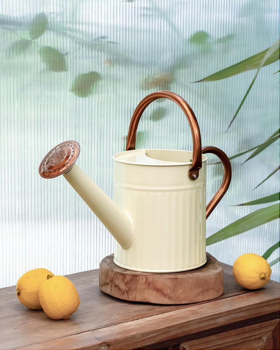Stalen Gieter voor Binnen en Buiten met Verwijderbare Tuit en Gegraveerd Ontwerp - Perfect voor Plantenverzorging en Tuin Decoratie, 1/2 Gallon Capaciteit