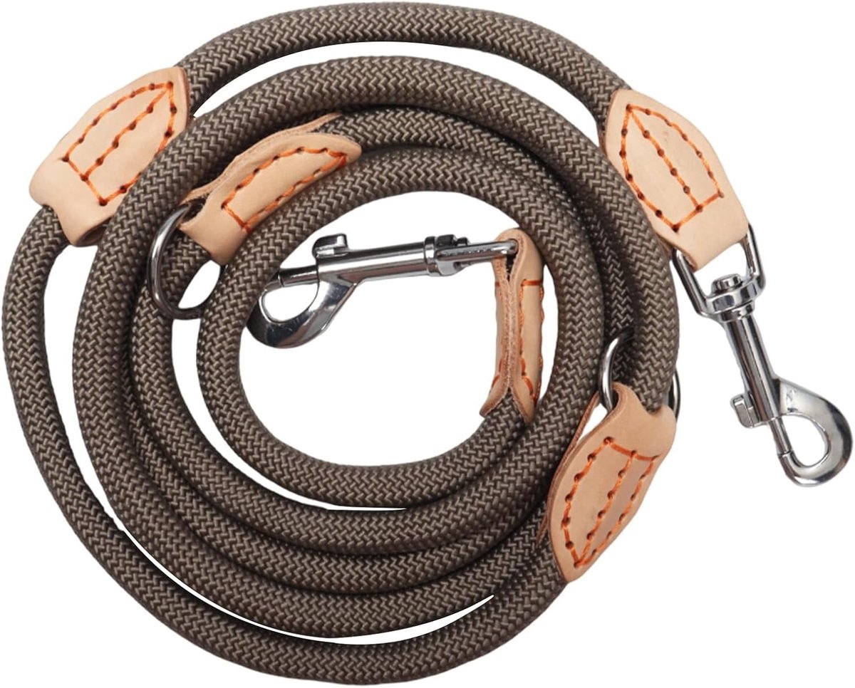 Hondenriem - Beige - 2,1 m - Verstelbare Nylon Hondenlijn met Twee Karabijnhaken - Voor Middelgrote en Grote Honden