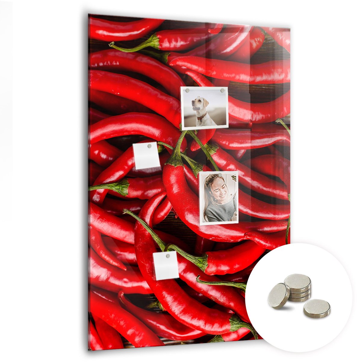 Coloray Glazen Magneetbord - Magnetisch Bord Blauwe kleur - 70x100 cm - Rood Magneetbord - Magnetic Board - Memobord