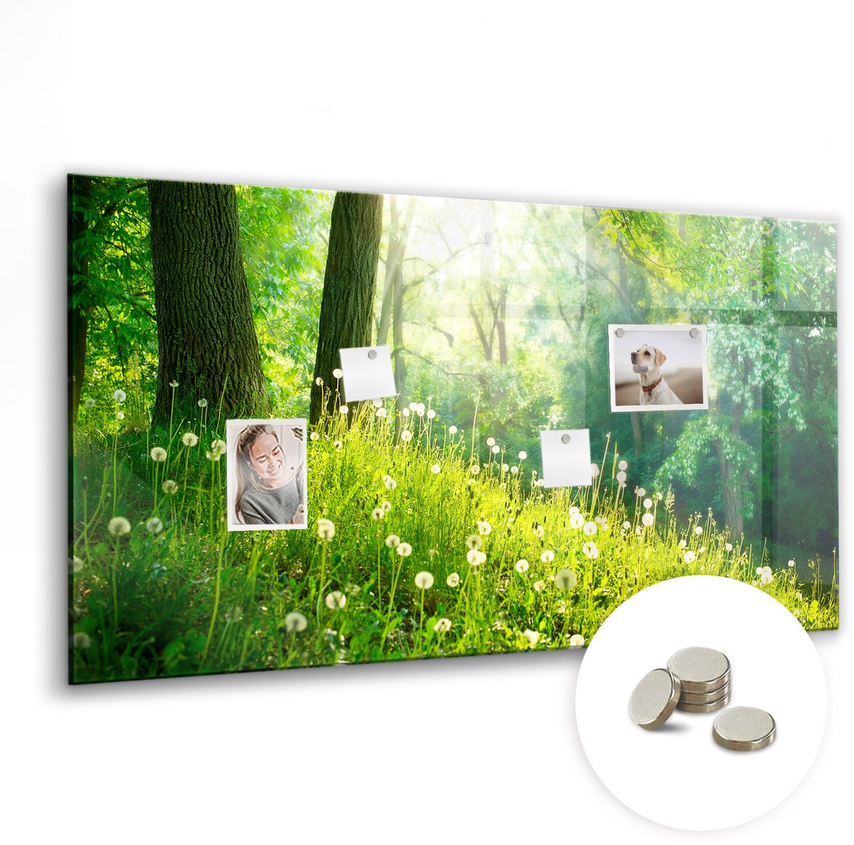 Coloray Glazen Magneetbord - Magnetisch Bord Wereldkaart gemaakt van stippen - 120x60 cm - Groente Magneetbord - Magnetic Board - Magneetbord Design