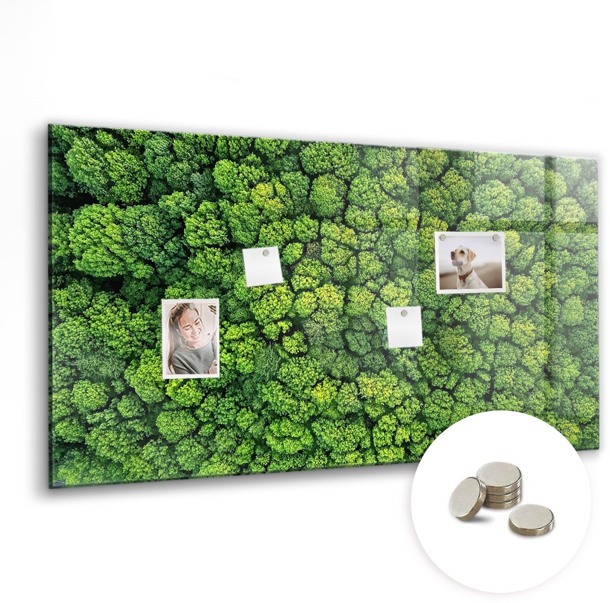 Coloray Glazen Magneetbord - Magnetisch Bord Keukengerei - 120x60 cm - Groente Magneetbord - Magnetic Board - Keuken Decoratie