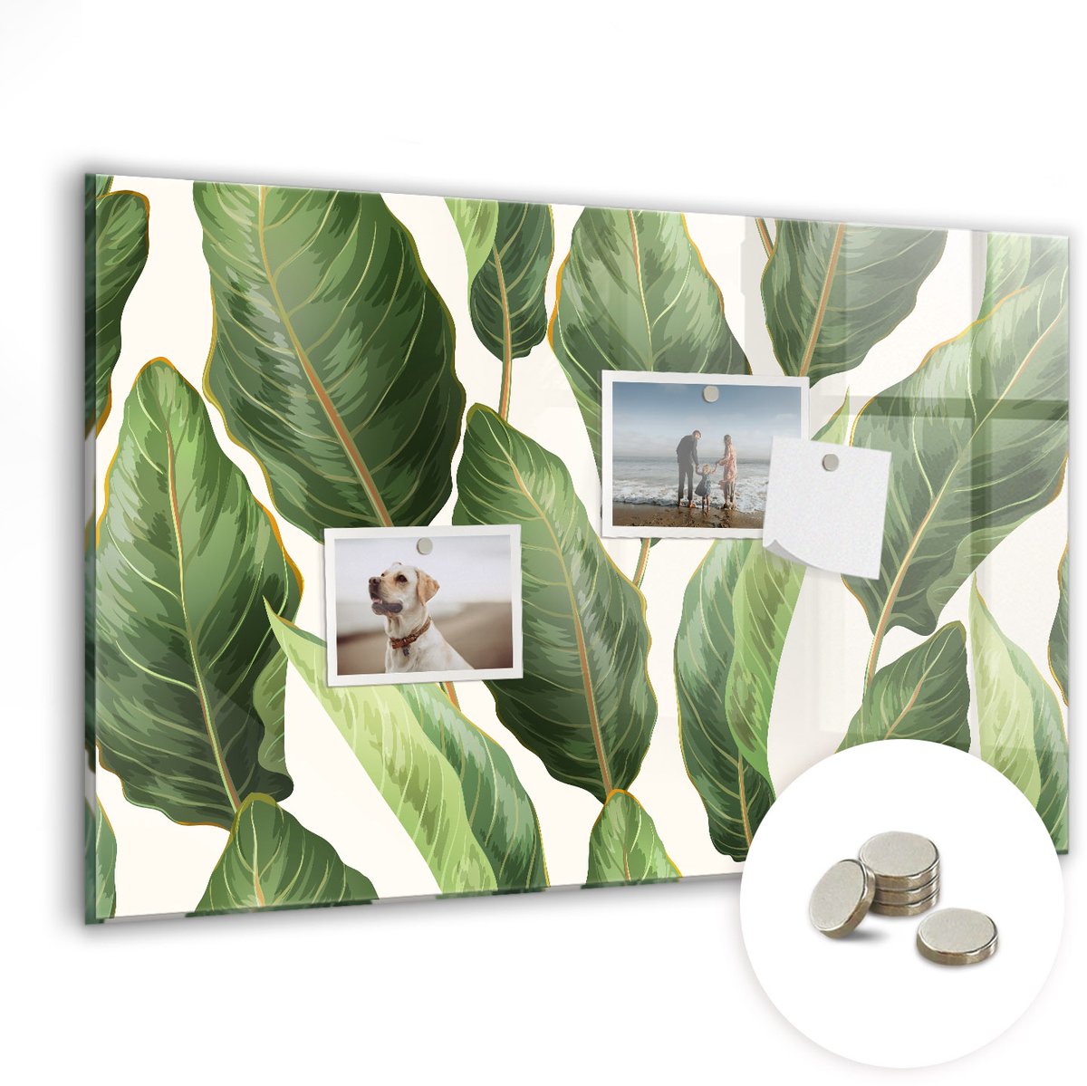 Coloray Glazen Magneetbord - Magnetisch Bord Palmbladeren - 60x40 cm - Wit Magneetbord - Magnetic Board - Woonkamer Decoratie