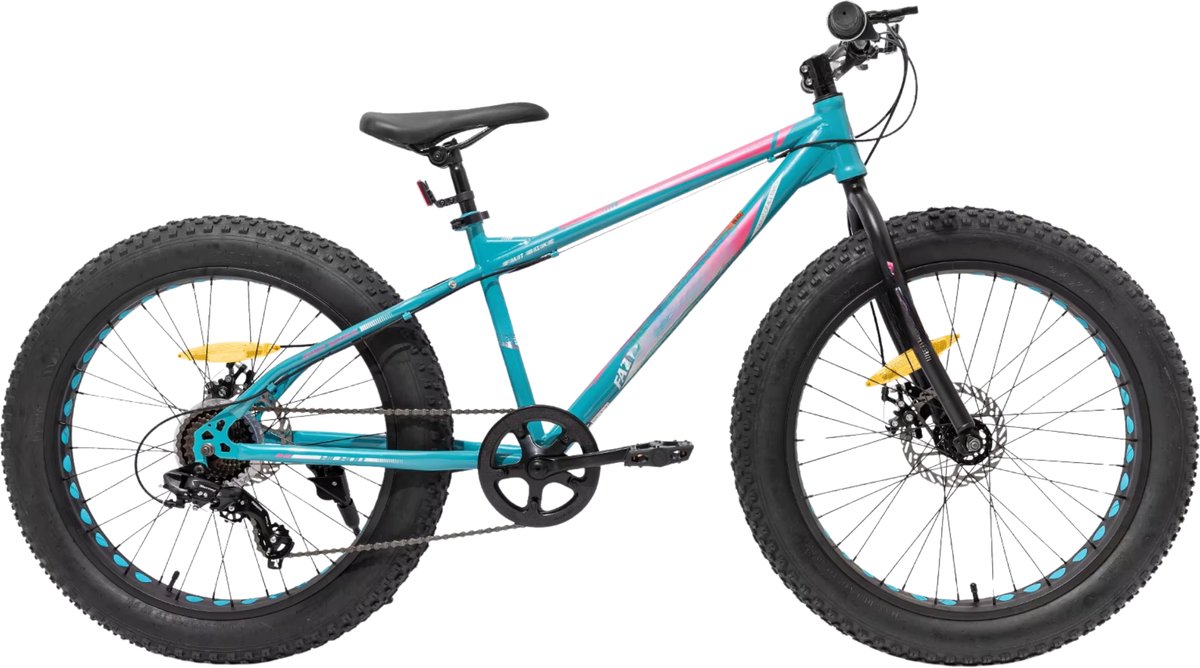 Happiq Kinder mountainbike 51 cm Fat Tire – Voor kinderen vanaf 5 jaar en strand- en terrein gebruik – Met 7 versnellingen en dubbele schijfrem – Groen frame
