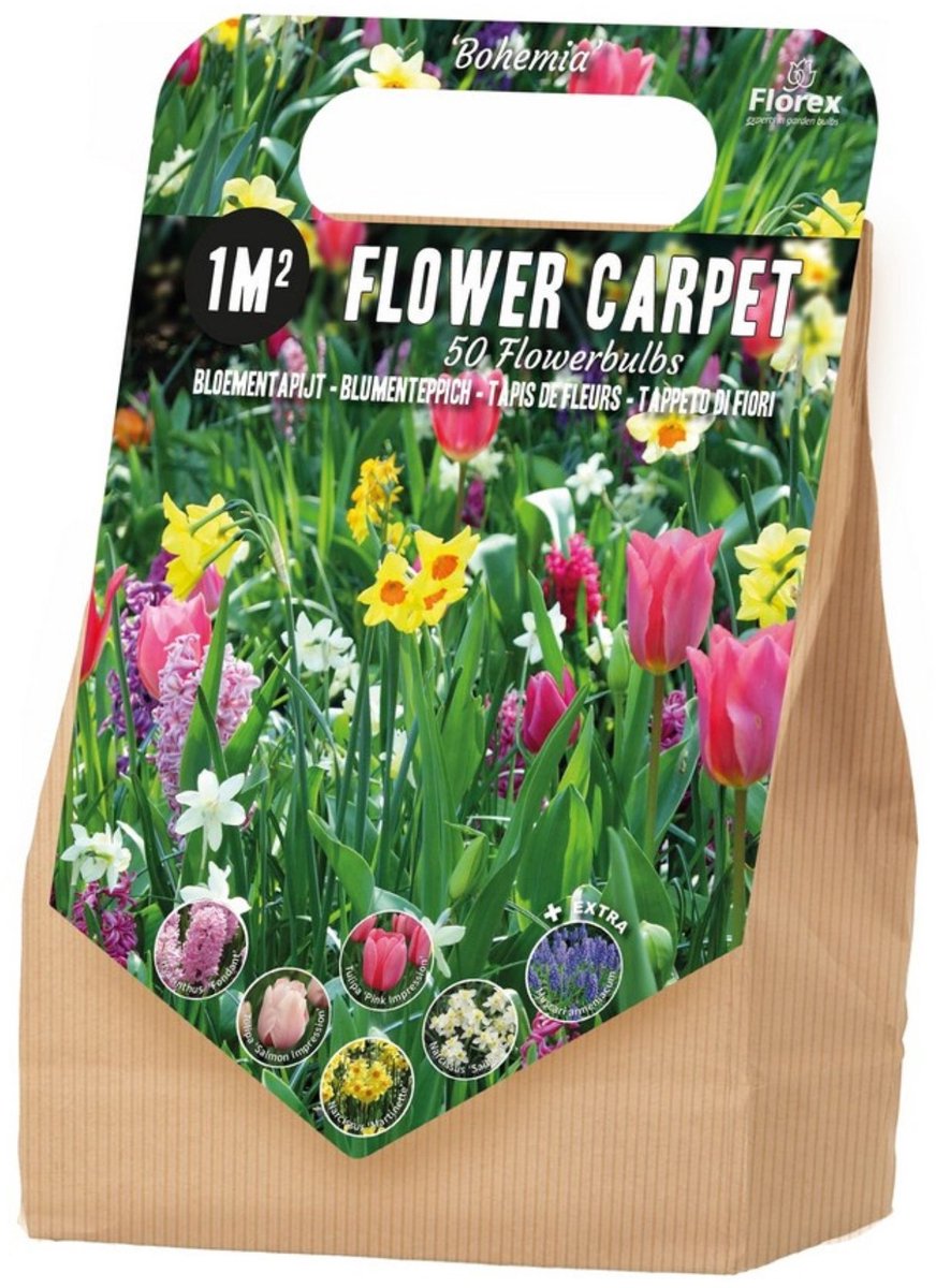 Bloembollenpakket 1 m² Bohemia – 50 bloembollen - Snijbloemen - Voorjaarsbollen - bloeit in Maart / April / Mei