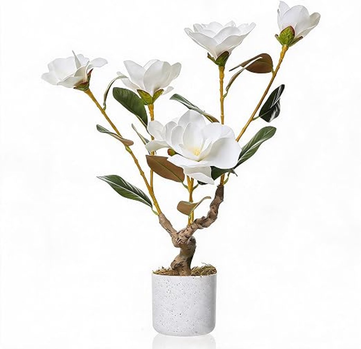 Danky - Kunstorchidee - 60cm wit, premium PEVA, 2 stuks met wit design decoratiepot