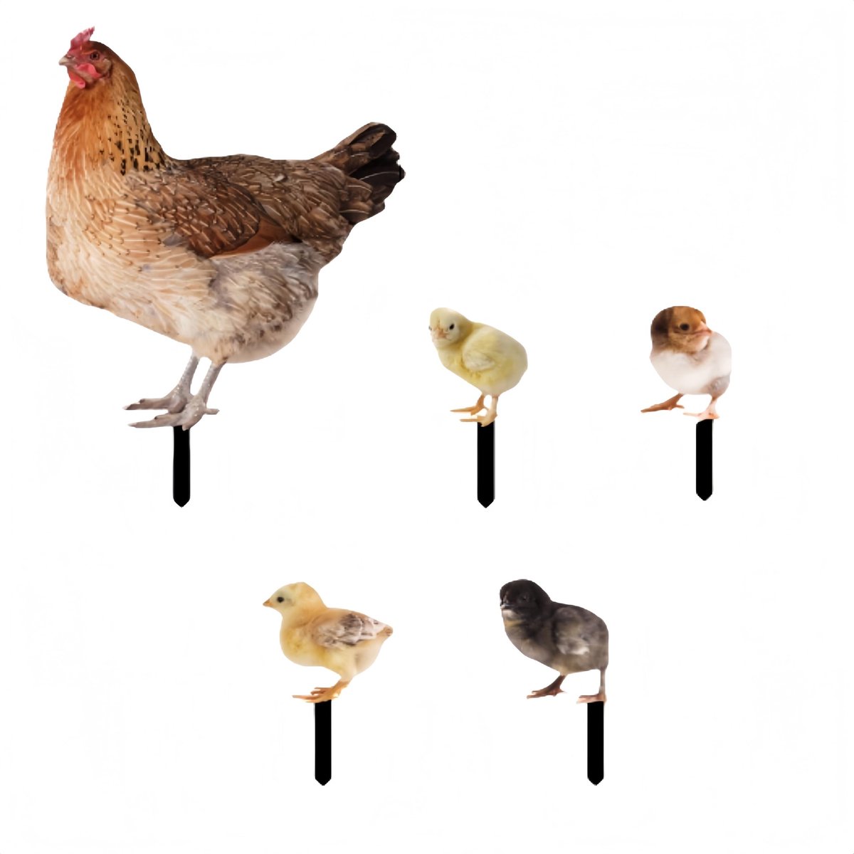 Solidchoice - Set van 5 Tuinfiguren voor Pasen met Kippen
