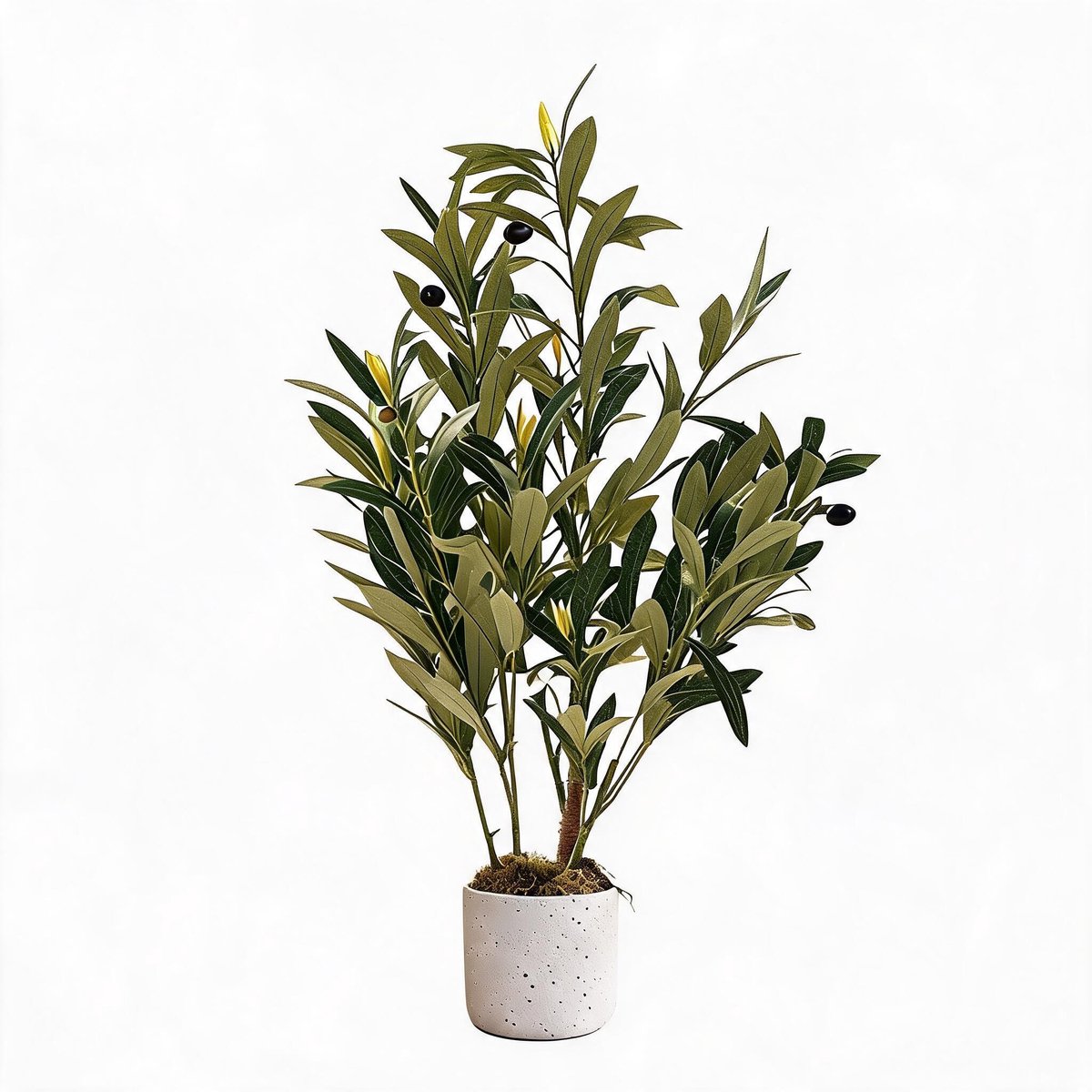 Triumpunpre - Kunst olijfboom - 60cm, duurzaam anti‑UV polyester, gewogen cementpot voor zakelijk gebruik