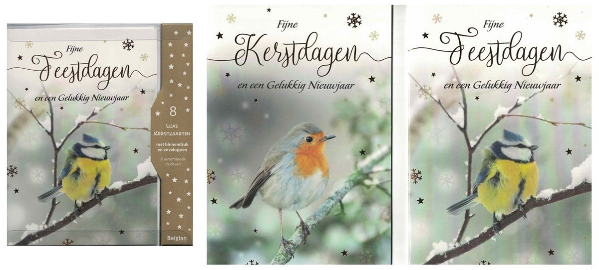 Wenskaarten - kerstkaart - set van 8 - 8 luxe kerstkaarten - 2 x 4 luxe kerstkaarten met envelop