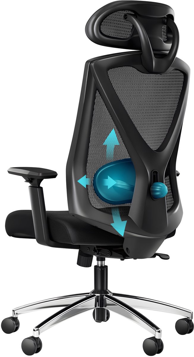 Hzuaneri Ergonomische Bureaustoel, Computerstoel, Draaistoel, met Verstelbare Lendensteun, Hoofdsteun en Armleuningen, Rugbescherming, Maximaal Draagvermogen 150 kg, Zwart