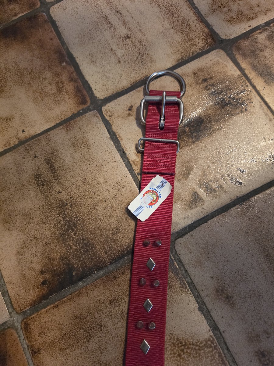 Hamilton nijlon Halsband dubbel gestikt dikte 50 mm totale lengte 73.5 cm br.4.5 cm